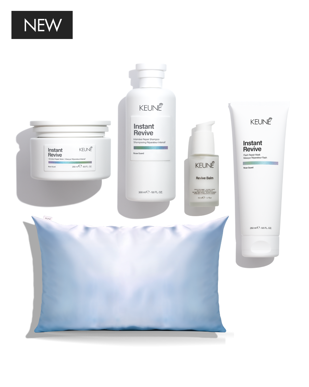 Instant Revive Silk Set